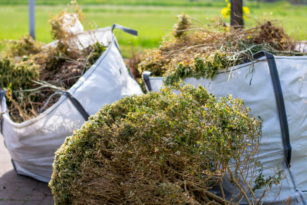 Best Junk Hauling Services  in Rossford, OH